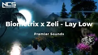 【NCS】Biometrix x Zeli - Lay Low
