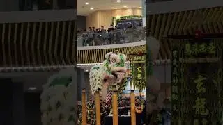 Xuan Long Dragon & Lion Dance KL | Kuala Lumpur