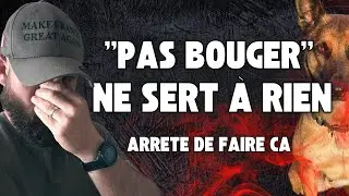 PAS BOUGER: ça sert à rien !
