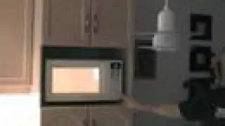 metal objects in the microwave