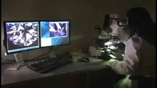A Diamond's 4 Cs.mov