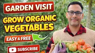 LIVE Garden Visit 🌱 | Real Home Garden Tour | Sabzi & Fruit Plants Live | Gardening Tips Hindi