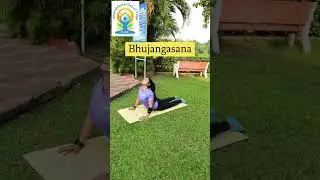 Yoga for harmony and peace #Dreamfit_2020 #youtubeshorts #ytshorts #yogaday #21june