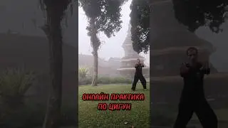 ОНЛАЙН ПРАКТИКА ЦИГУН ☯️#цигун #тайцзицюань #онлайн #практика #taichi #qigong #太极拳 #气功
