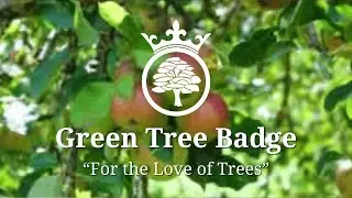 Green Tree Badge: For the Love of Trees | Bags of Ethics | Royal Forestry Society