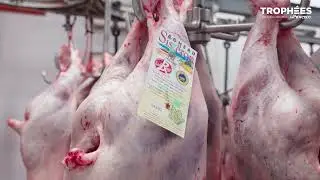 [Troph&eacute;es de l&rsquo;&Eacute;conomie] 2025 - La Provence Alpes : Alpes Abattoir Sisteron, savoir-faire et rigueur
