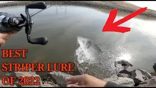 This lure is out fishing live bait! - Striper Fishing ( O'Neill Forebay )