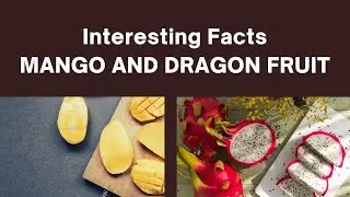Interesting Facts: Mango and Dragon Fruit #shorts