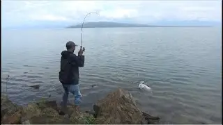 Langsung dapat dua ekor sekaligus..... Mancing di danau toba