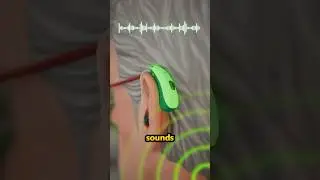 How Hearing Aids Actually Work