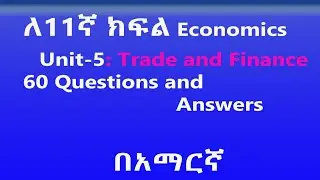 Grade 11 Economics Unit 5 Trade and Finance | Questions and Answers | Ahadu Academy