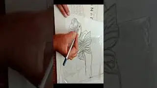 flower with butterfly drawing #shorts
