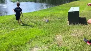 Helping Elephant turtle cross the road