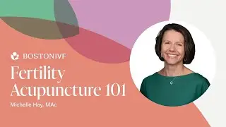 Fertility Acupuncture 101 | Boston IVF Wellness Center