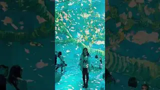 Frameless Immersive Art Museum in London #cungmyduhoc #hocbong #myduong