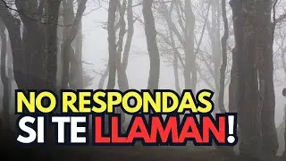 LOS APALACHES 🌳El Bosque Que Te Observa👀