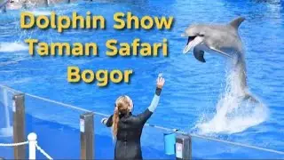 WE SERVE DOLPHIN SHOW GUYS ✌✌