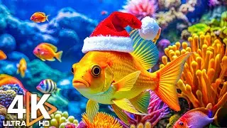 Najlepsze akwarium 4K do relaksu 🐠 Relaksujące krajobrazy oceanu - Medytacja podczas snu 4K UHD