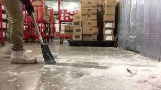 cleaning the walk in freezer  (satisfying, asmr?)