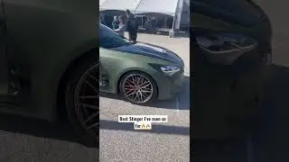 BEST STINGER EVER #fyp #fypシ #viral #viralshorts #kia #stinger #wrap #green #exhaust #loudexhaust