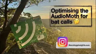 Optimising AudioMoth settings for recording bats