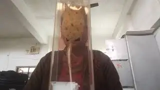 HYLONEMA (PORIFERA) SPECIMEN ZOOLOGY PRACTICAL IN BOTH ENGLISH AND HINDI