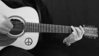 Into the Great Wide Open &ndash; Tom Petty 12string-cover