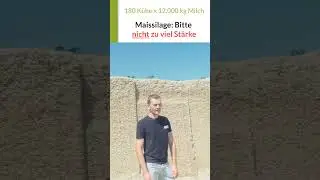 Ziel der Maissilage: Nicht zu viel St&auml;rke, sondern Top-Faserverdaulichkeit! #maisernte #maish&auml;ckseln
