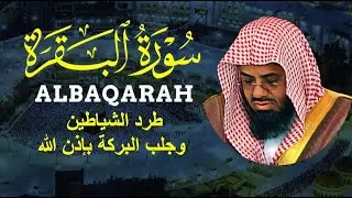 سورة البقرة كاملة بدون اعلانات فضيلة الشيخ سعود الشريم surah baqarah saud shuraim بث مباشر🔴