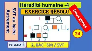 H&eacute;r&eacute;dit&eacute; humaine 4: exercice r&eacute;solu sur la transmission de deux g&egrave;nes de deux maladies h&eacute;r&eacute;ditaires