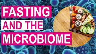 Is Fasting Good for the Microbiome? New Science!