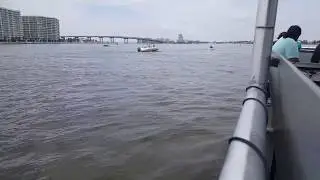 Perdido Bay Dophins Orange Beach Alabama
