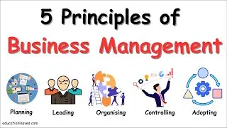 5 Principles of Business Management #managementprinciples