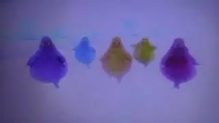 The Boohbahs Join In And Jump To Tip Toe Dance