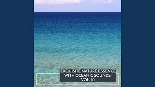White Noise Ocean Music