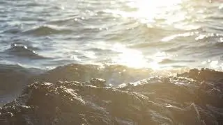 Ocean beach rock detail and sea waves in background, slow motion | Free stock footage
