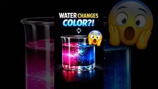 Color Changing Water Experiment! Watch Science Magic Happen #shorts  #scienceexperiment #experiment