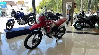 Honda XRE 300 RALLY  - 2015