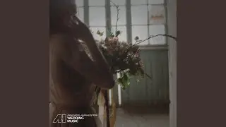 Wedding Scenery