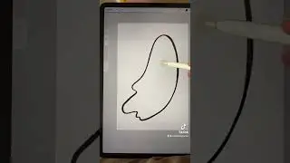 Procreate Help | Reference Layer Explained | Beginner Tutorial