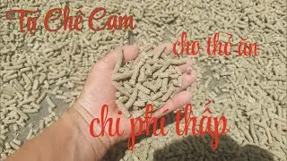 Tự Chế Cám Viên Cho Thỏ Ăn Tại Nhà Chi Phí Thấp Thu Nhập Cao / Tư Heo Tv