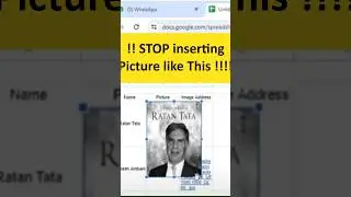 image insert #shorts #trending #excel #exceltips #exceltipsandtricks #exceltech #accounting