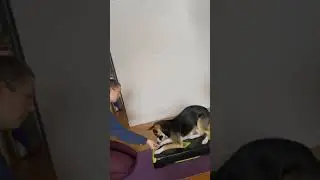 Fold Back Down