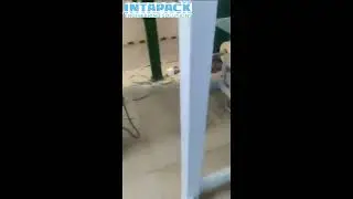 Packaging machine with labeling unit
