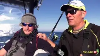 DENTICI E PRAI col CALAMARO VIVO