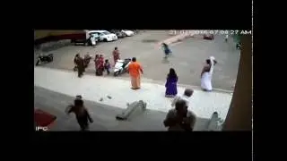 Stray Dogs Try to Attack Little Girl in Kerala Temple