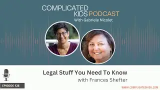 Legal Stuff You Need To Know with Frances Shefter