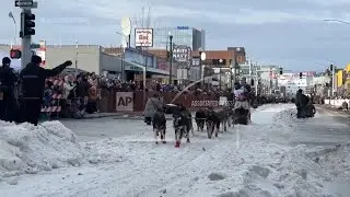 World's most famous sled dog race kicks off in Alaska
