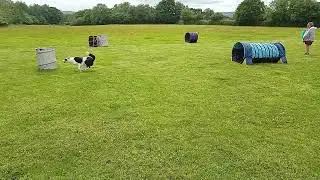 wikki on international hooper course layout