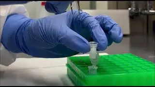 Forensic DNA Extraction
